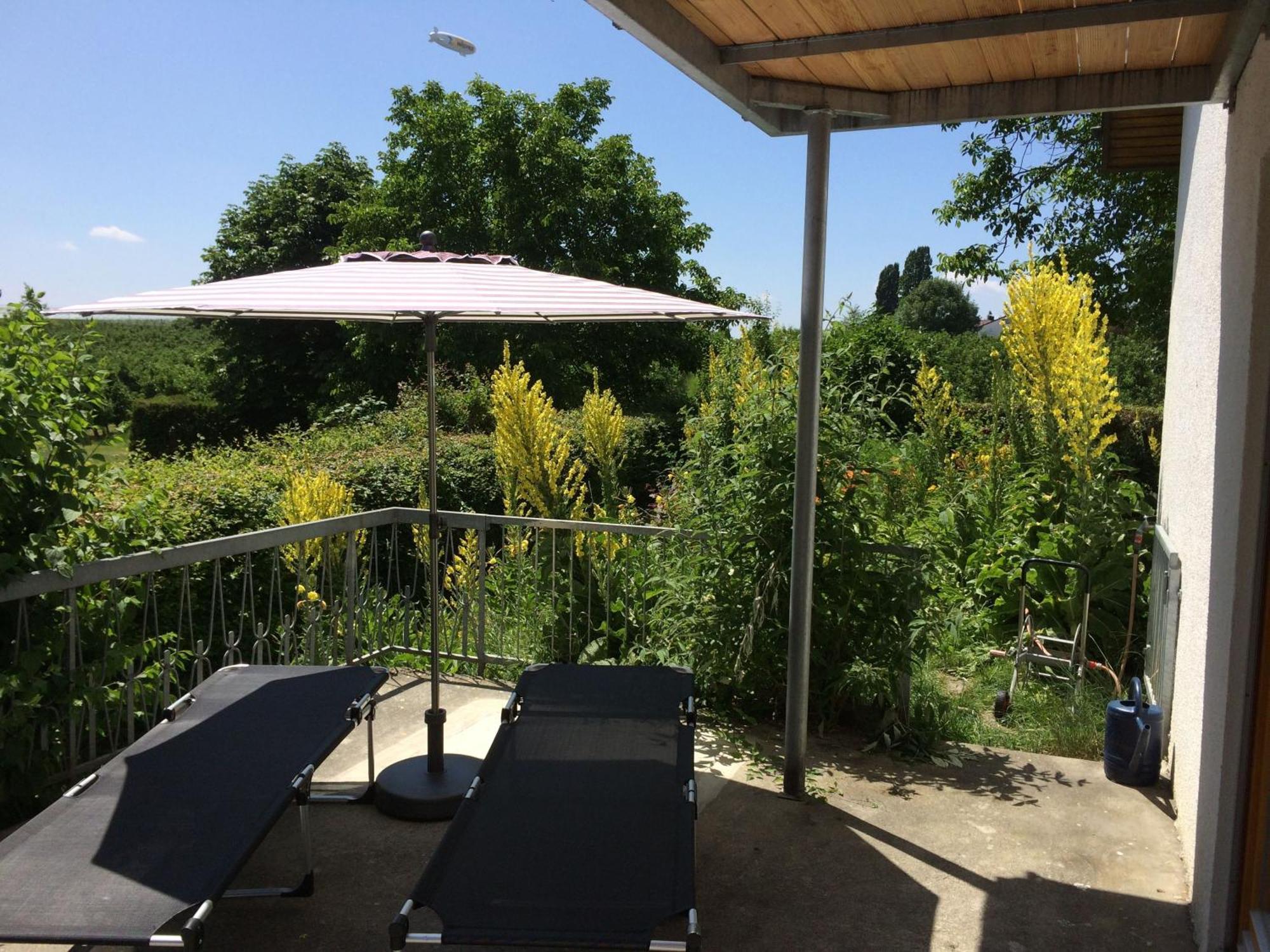 Ferienwohnung Bluetenweg Kluftern Friedrichshafen Ngoại thất bức ảnh
