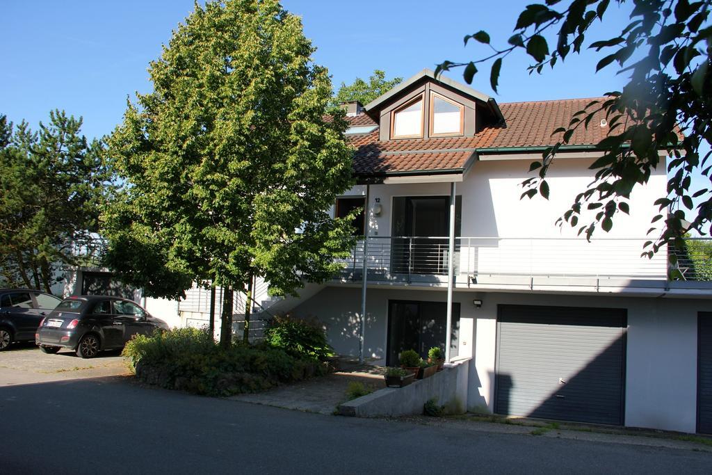Ferienwohnung Bluetenweg Kluftern Friedrichshafen Ngoại thất bức ảnh